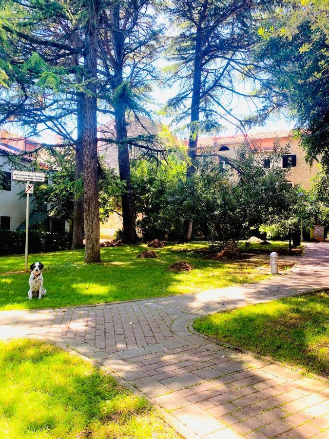 Istria Apartment - 3 Minutes From The Beach Novigrad  Exterior photo